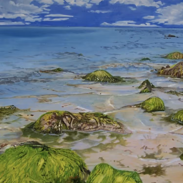 Painting of seaweed covered rocks on a beach