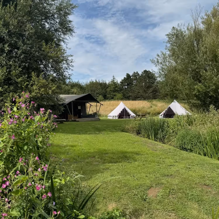 A glamping tent with additional tents
