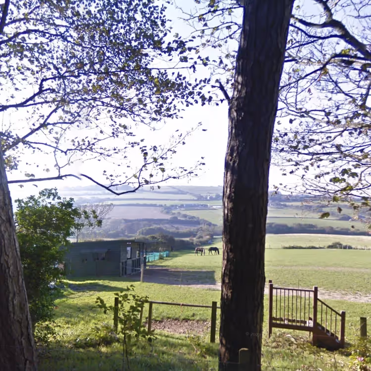A view through trees to hills beyond