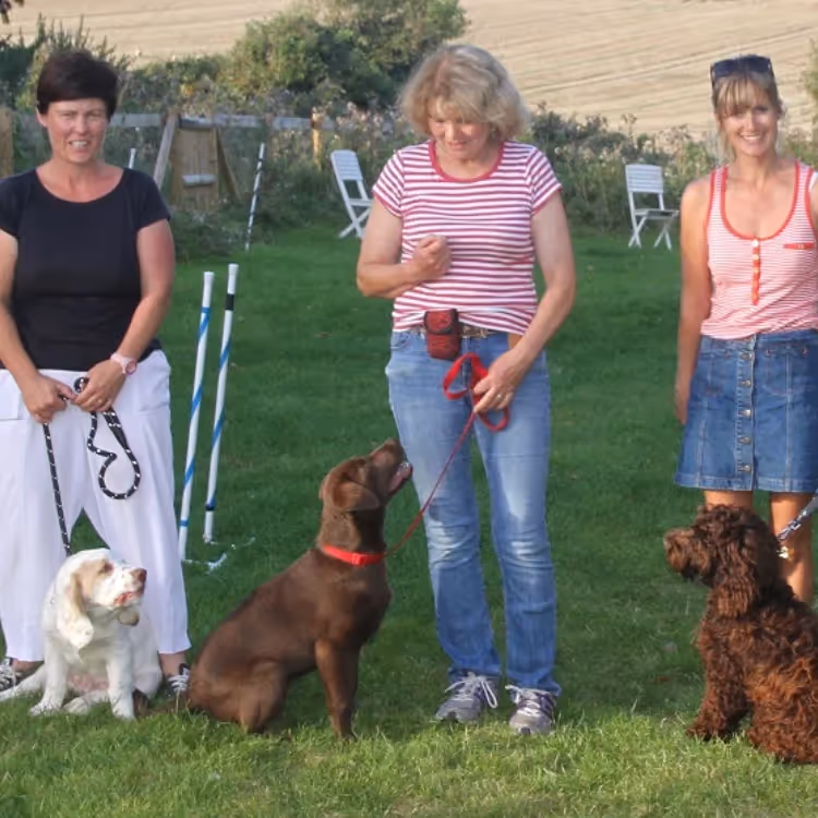Three women and their dogs at a training class