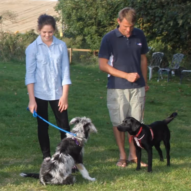 Two women with their dogs on leads