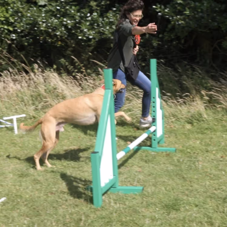 A woman and her dog running around a training ground