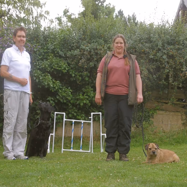 A man and a woman and their dogs
