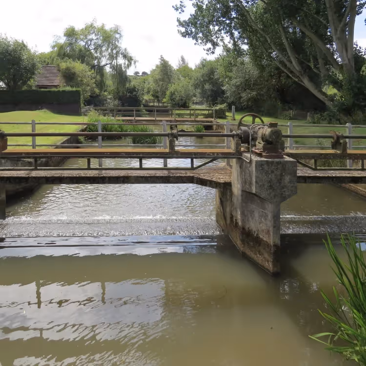 A weir stream