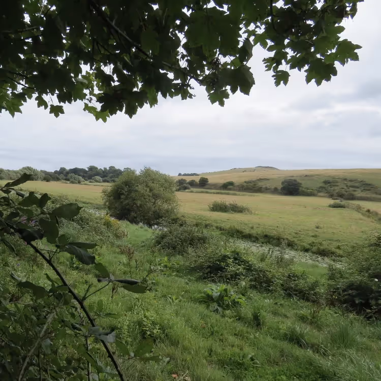 Looking across verdant countryside