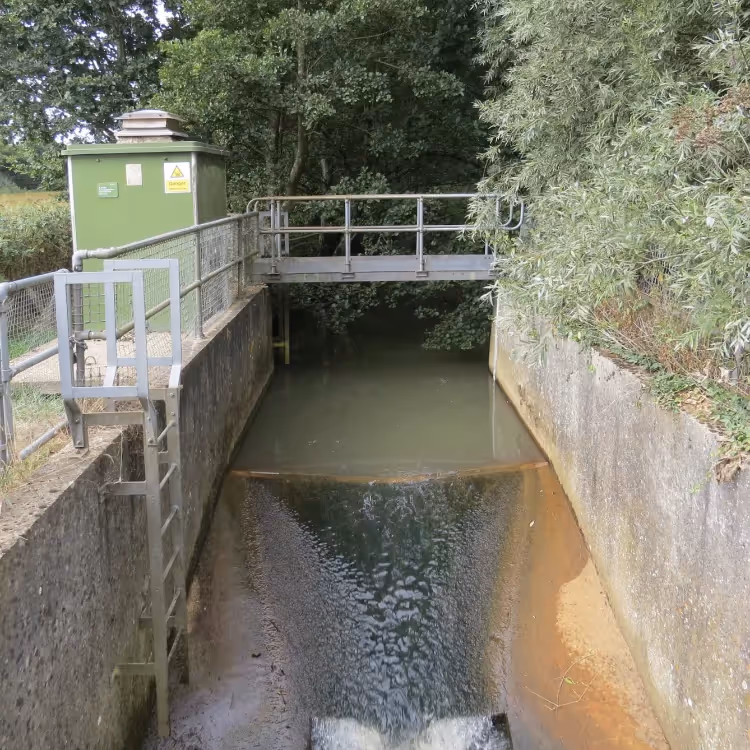 A weir of a stream
