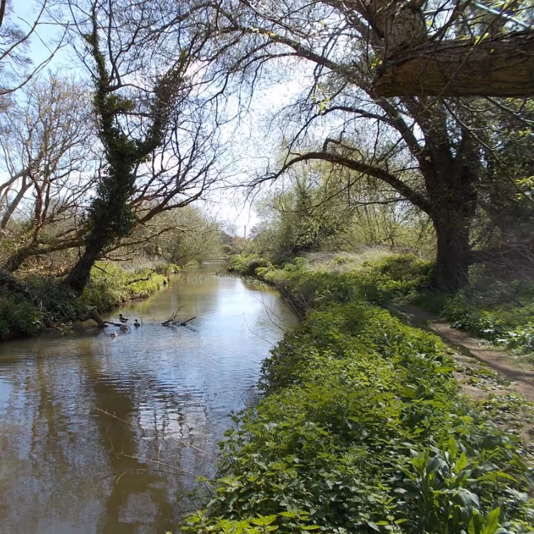 A natural river in sunlight