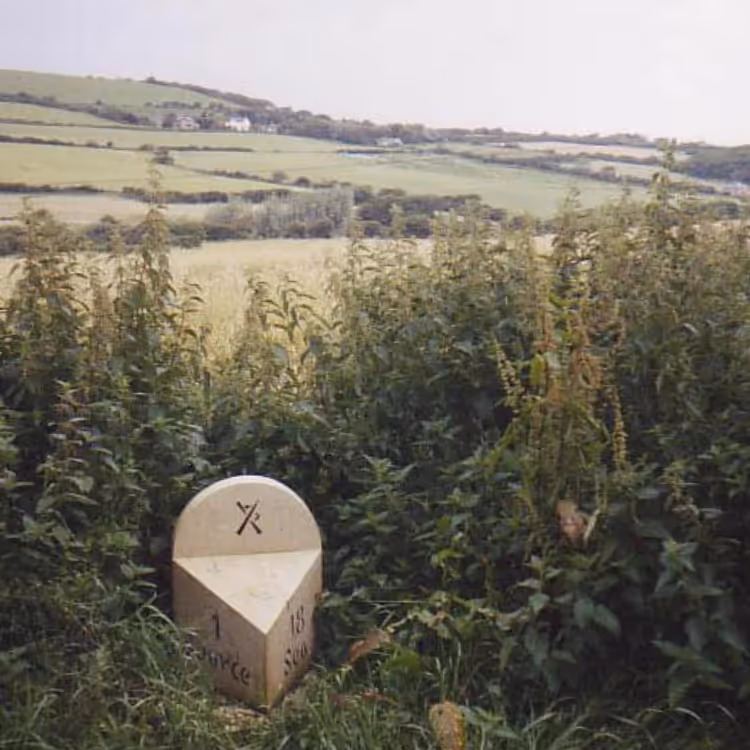 A trail marker in countryside