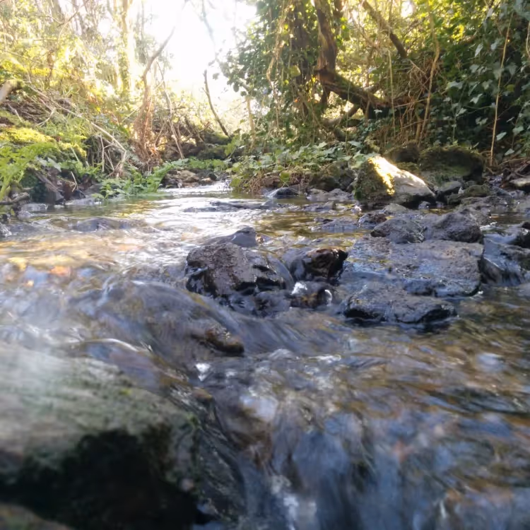 Cool waters of a stream tumbling over rocks