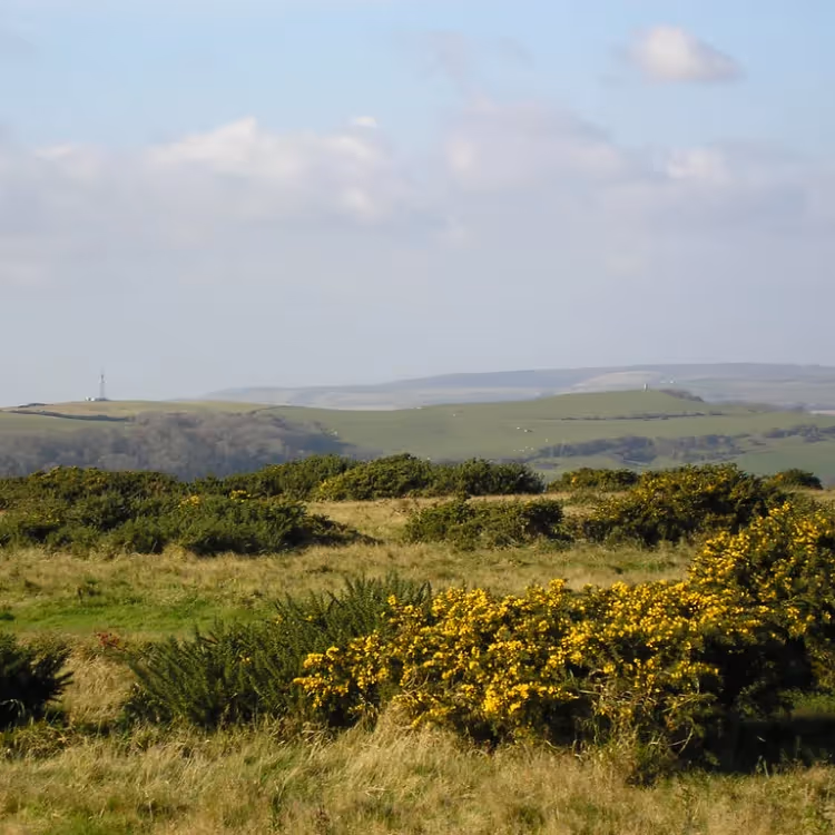 A panoramic view from the top of a hill