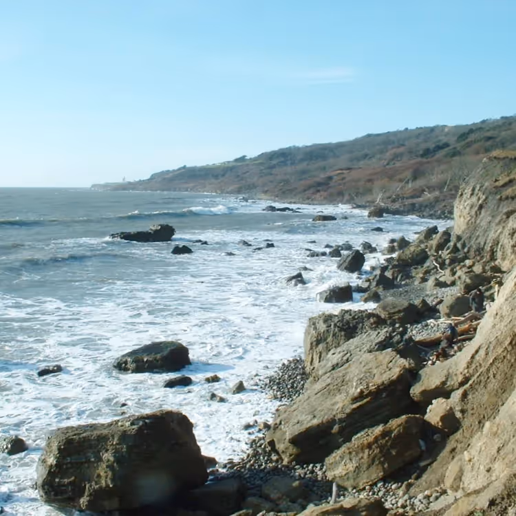 A rocky beach