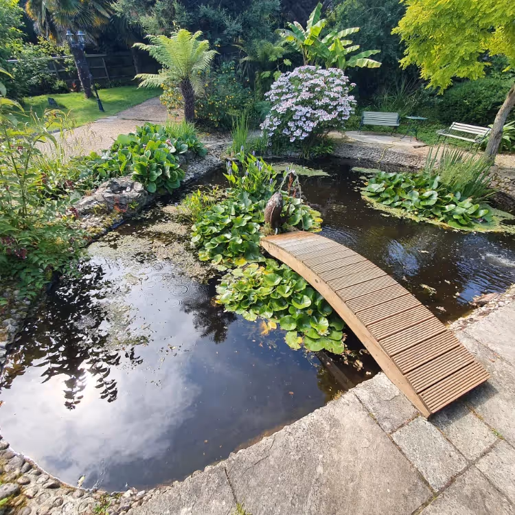 A garden pond with a walkway to the centre