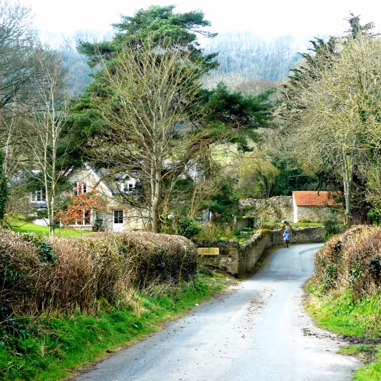 Farmhouses down a country lane