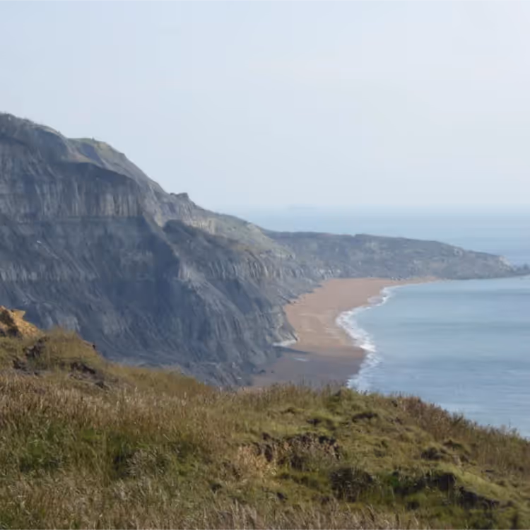 Coastline with high cliffs