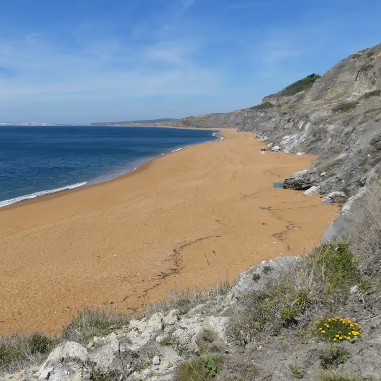 A sandy beach with rocks