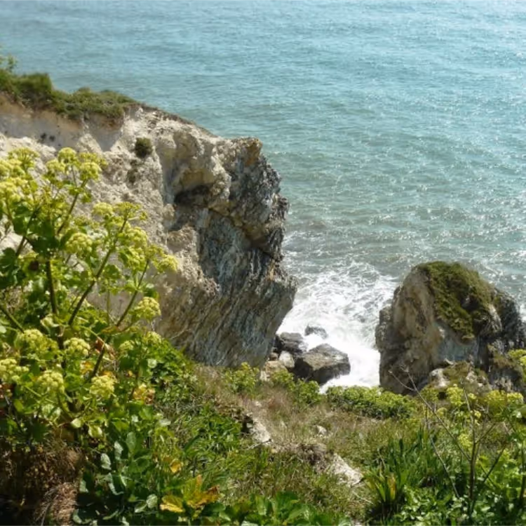 Looking over a cliff to the sea below