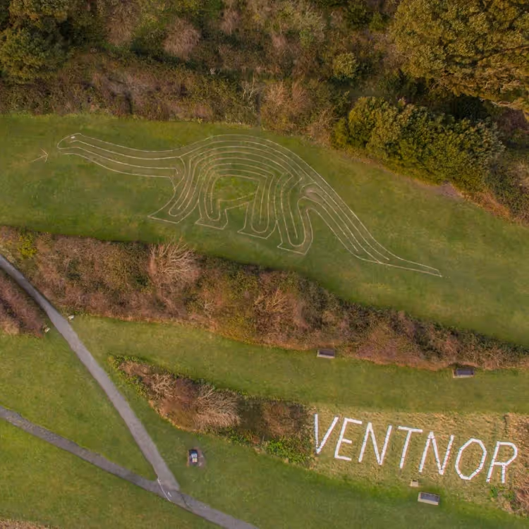 Aerial shot of a dinosaur shaped maize painted in the grass