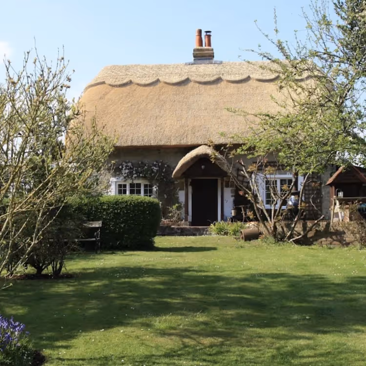 A pretty thatched cottage and traditional garden