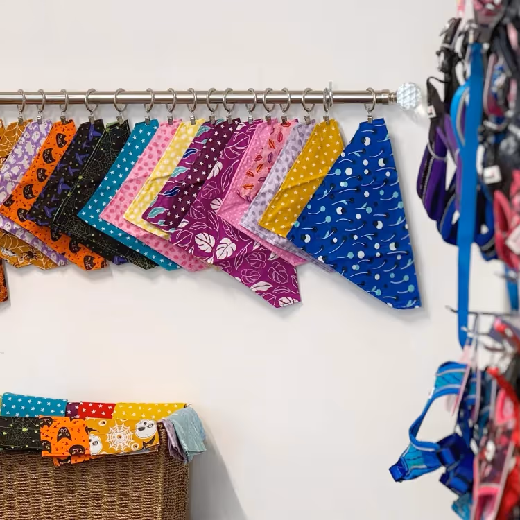 Dog bandanas and leads