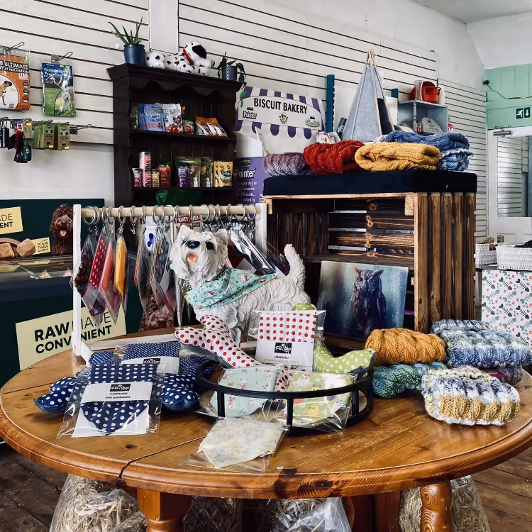 Goods for sale in a pet shop