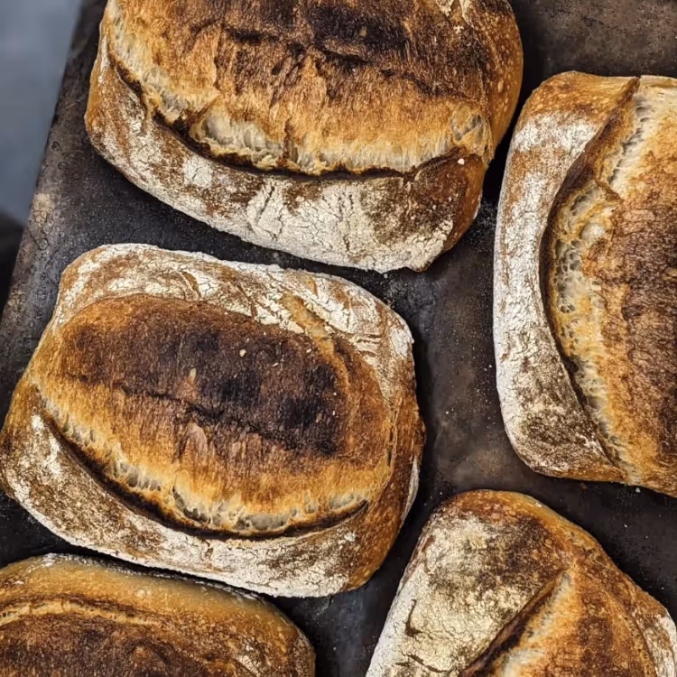 5 loaves of sourdough bread