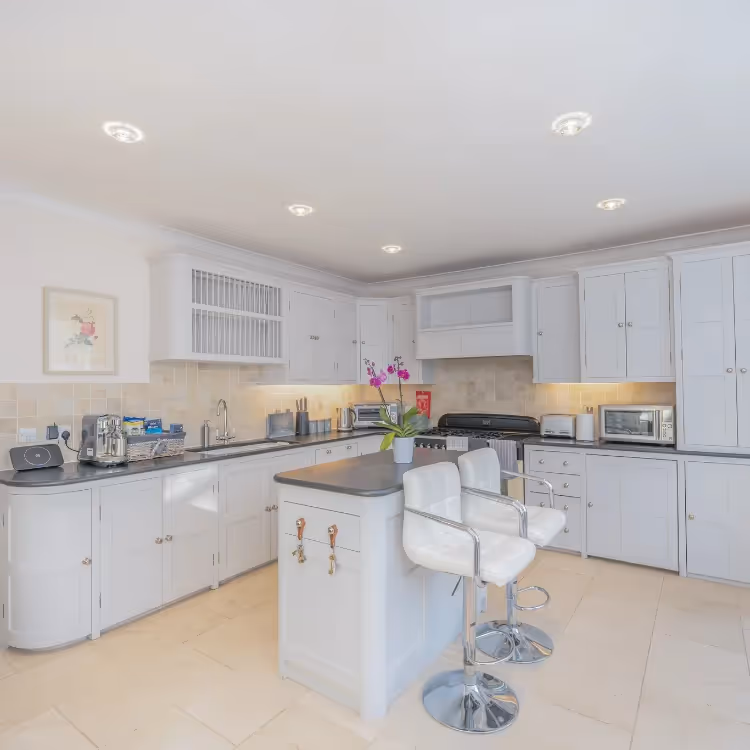 A white and grey elegant kitchen