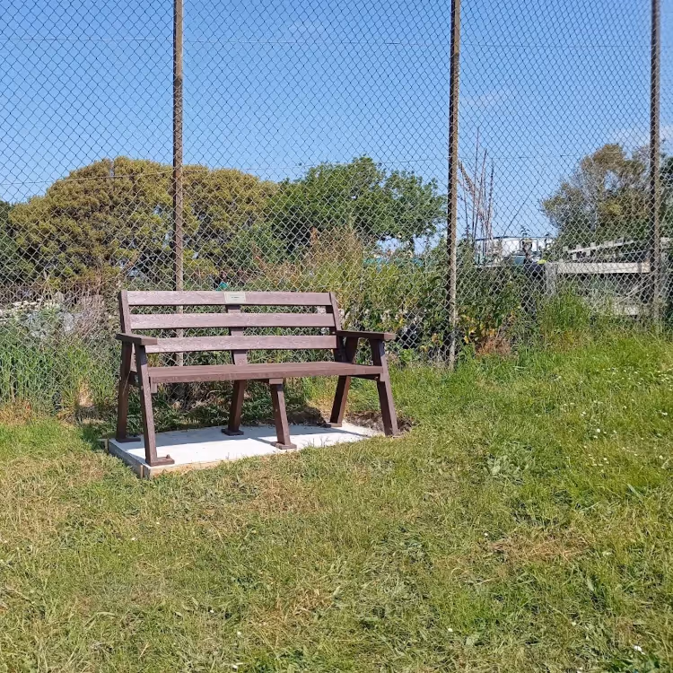 A wooden bench in a recreation ground