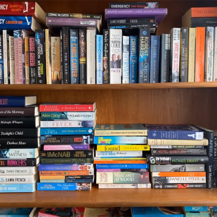 Paperback books on a pine bookshelf