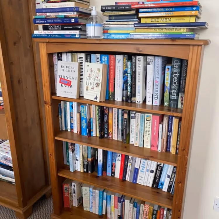 Paperback books on a pine bookshelf