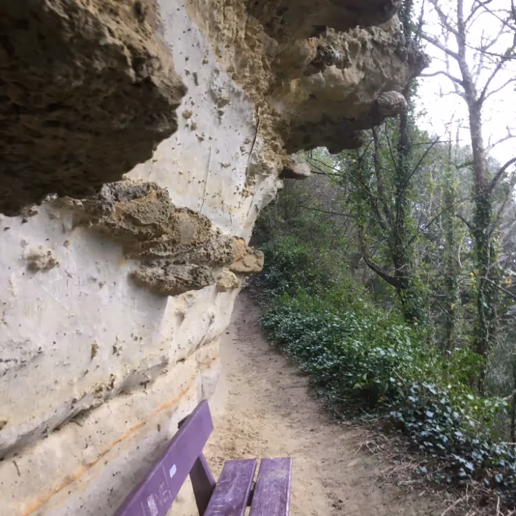 A bench along a cliff-side walk