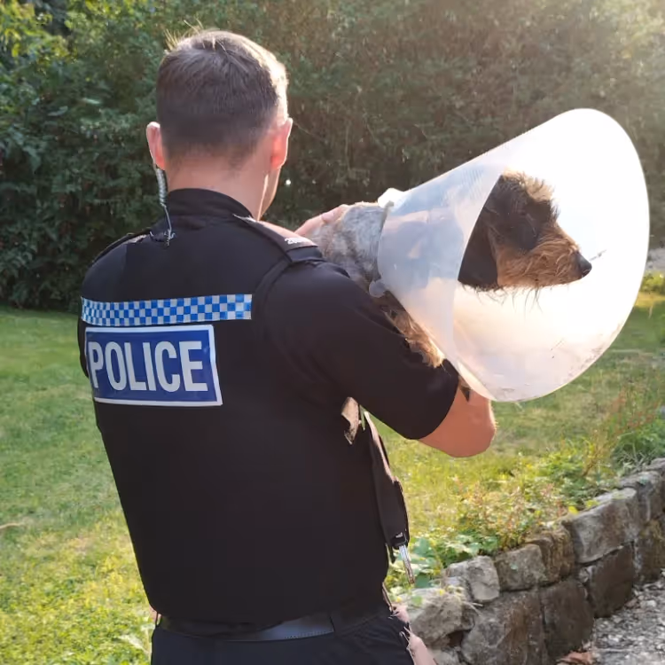 A policeman carrying a injured dog