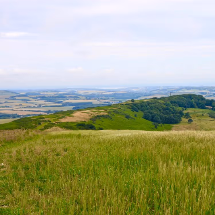 A view upon a hill looking across fields