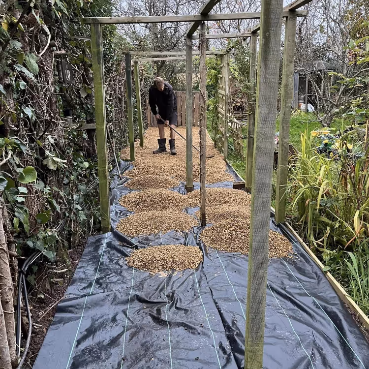 A man laying bark chippings under a pergola