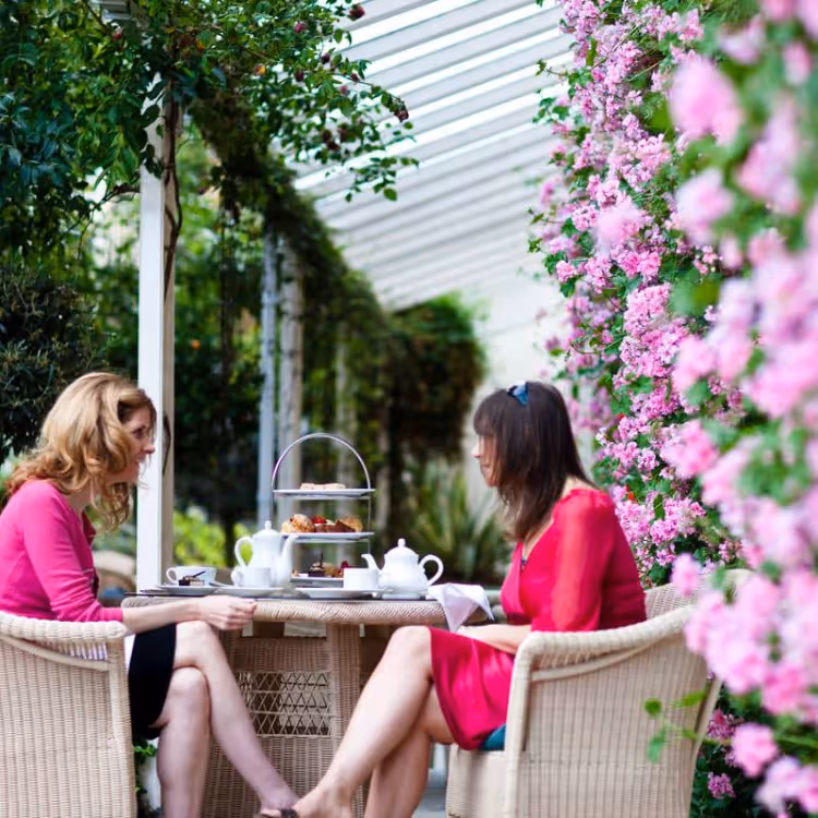 Two ladies enjoying afternoon tea in a conservatory