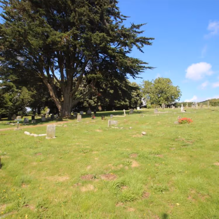 A cemetery