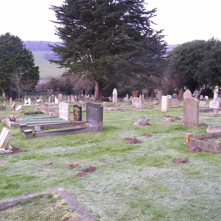 A cemetery