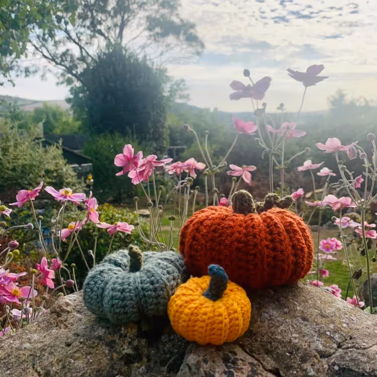 Three crocheted pumkpins