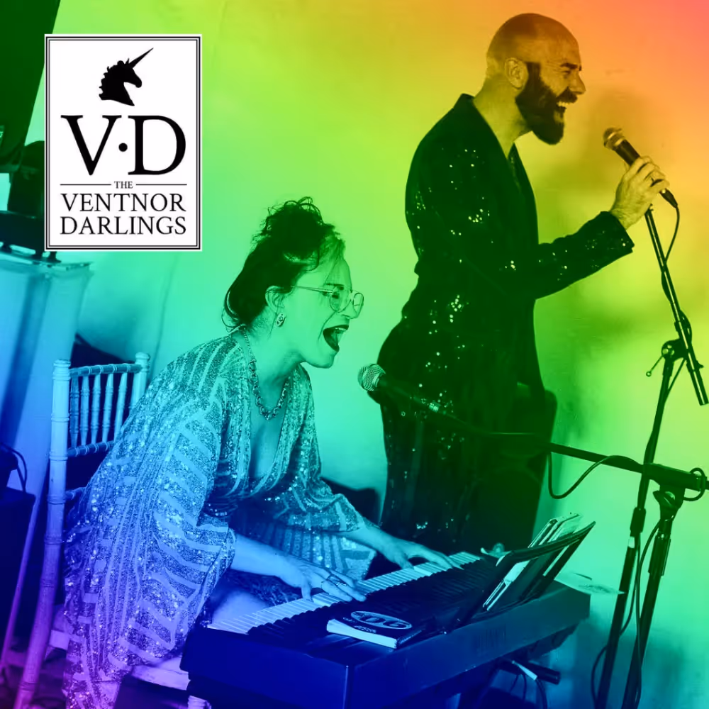 A musician duo performing live