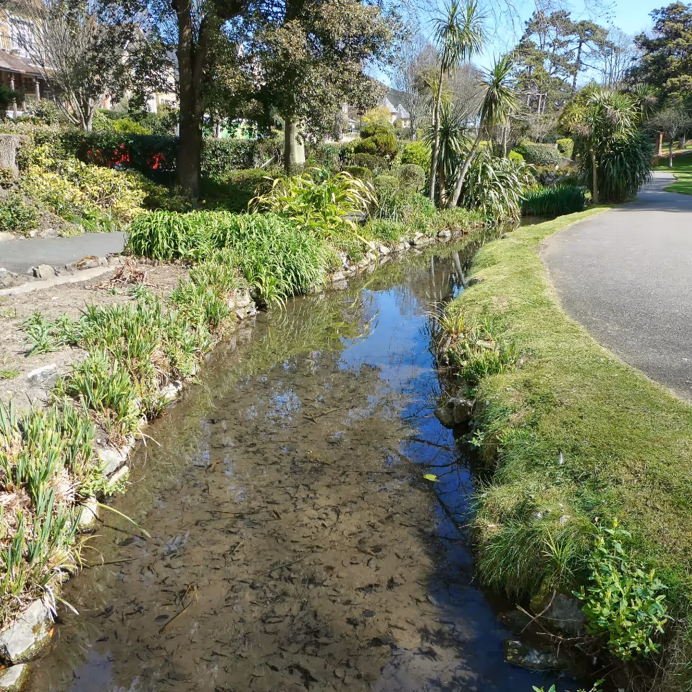 A small stream through a public park