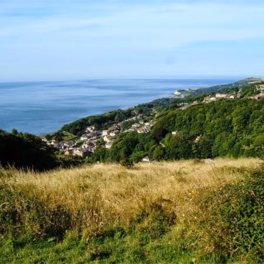A view down a hill to the coast