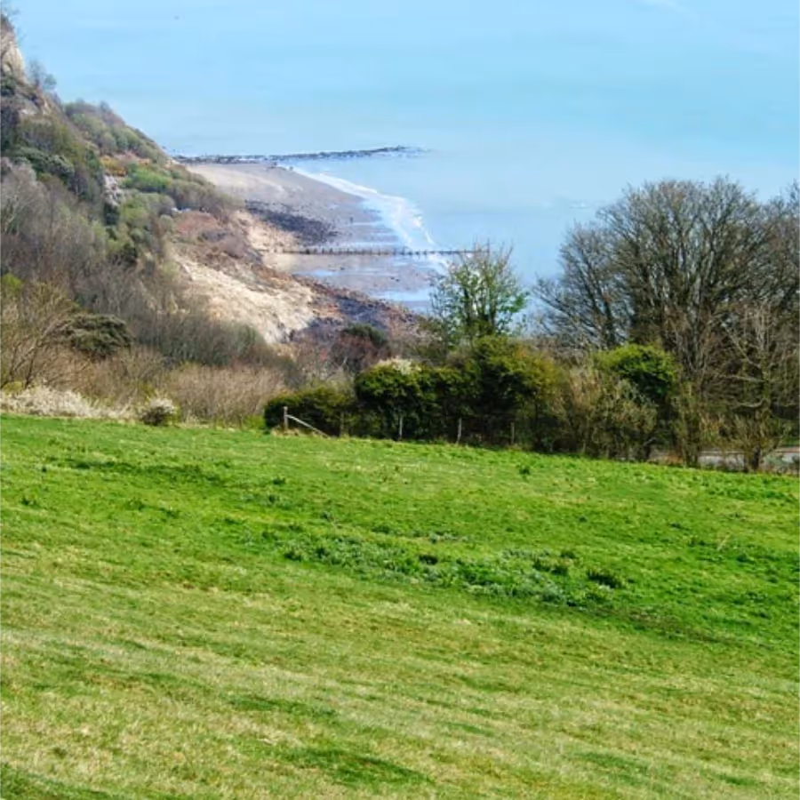 A view down a hill to a distant shore