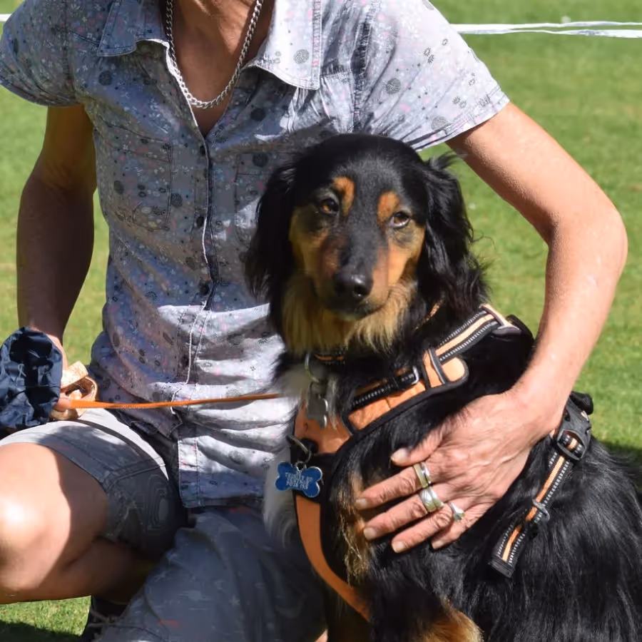 A man stroking his black and tan dog