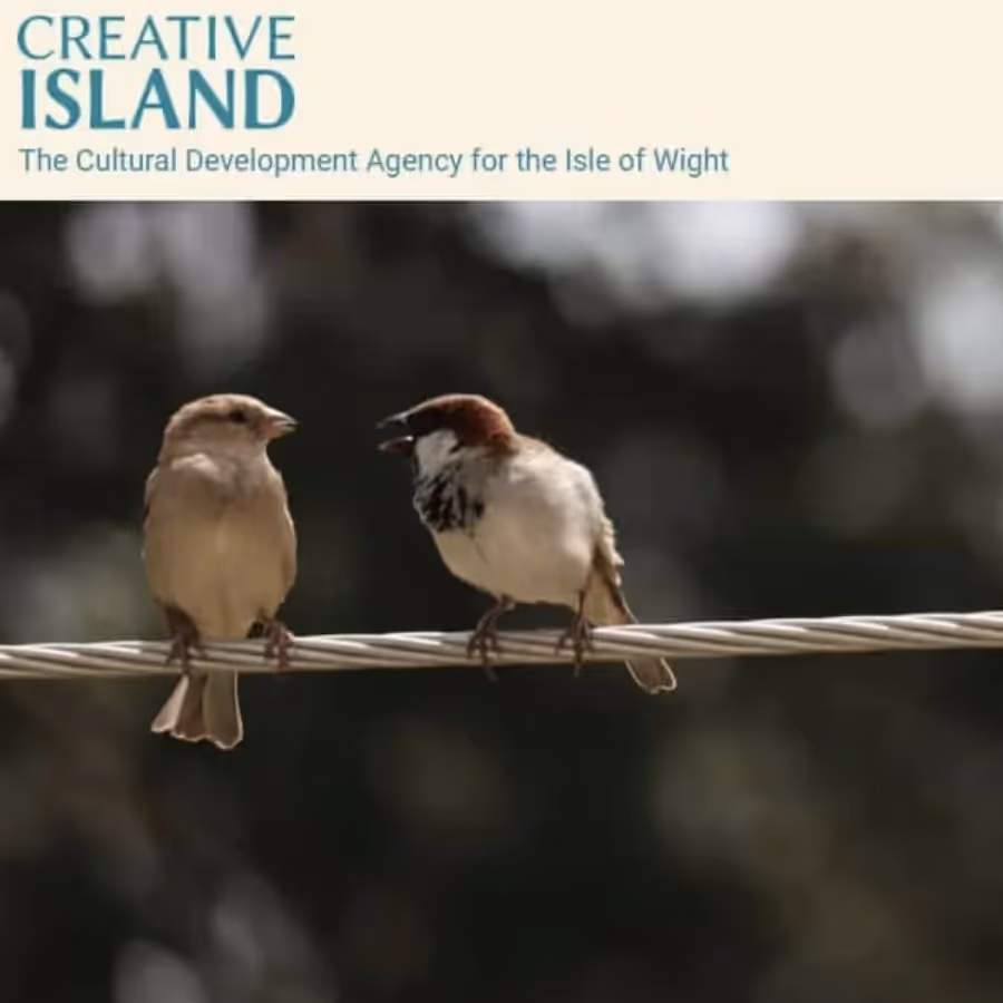 An advert for a company called Creative Island