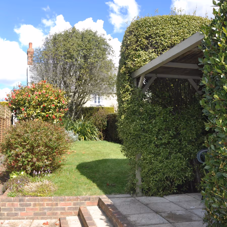 A sunny garden with pergola and seating