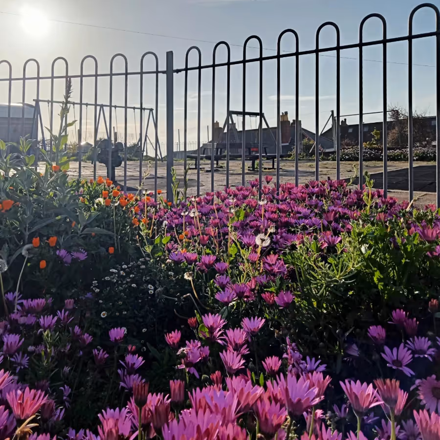 A cheerful flower bed in front of a kids play play park
