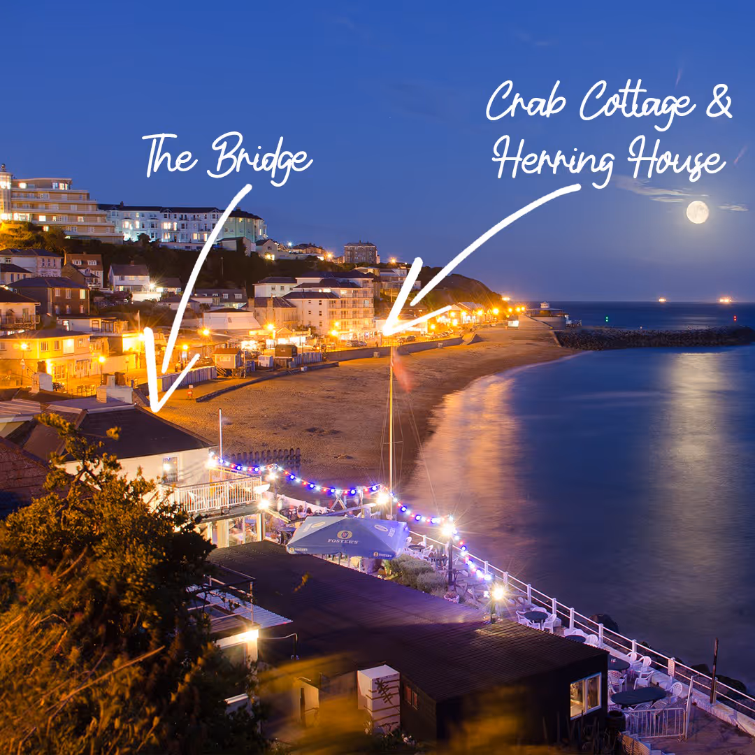 A coastal bay in nightlight