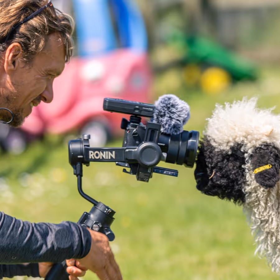 A sheep peering into the lens of a camera