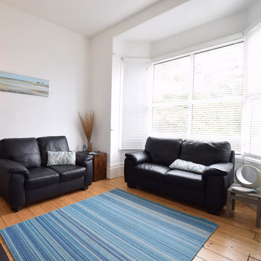 A white living room with black sofas and a blue stripe rug