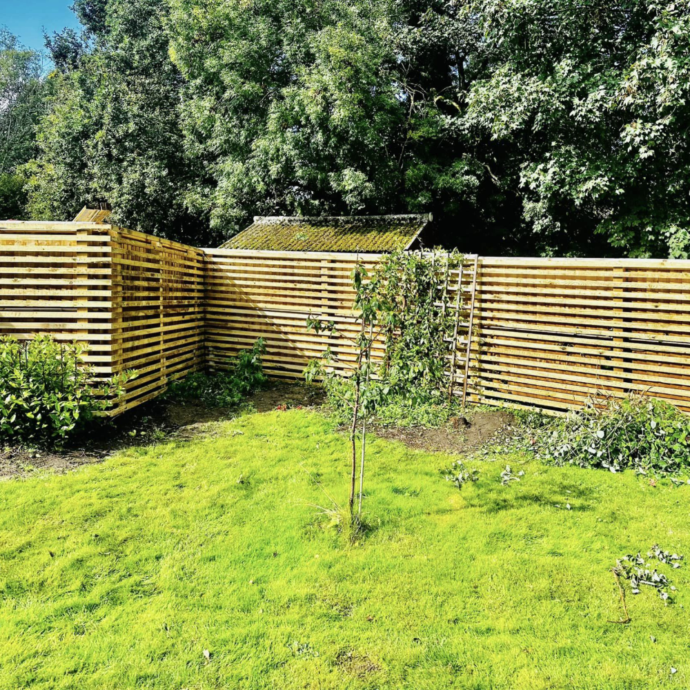 Trellis fencing in a garden