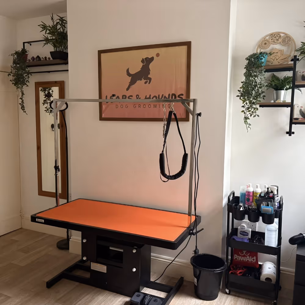 The interior of a dog grooming salon.